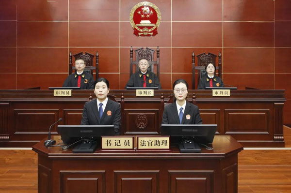 最高人民法院发布2025年人民法院反垄断典型案例